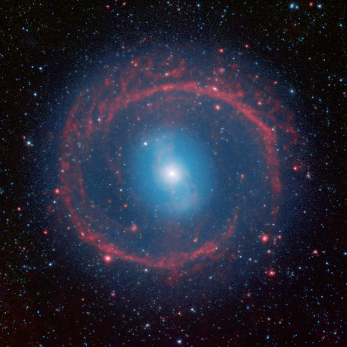 Ring of stellar fire ESO Supernova