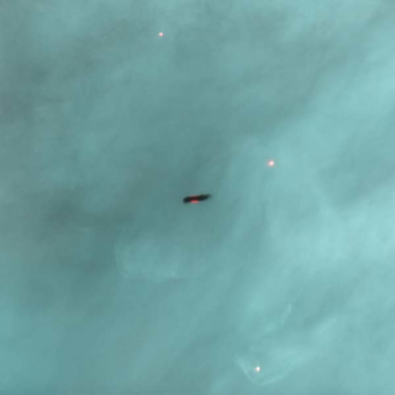 Edge-on disc in the Orion Nebula