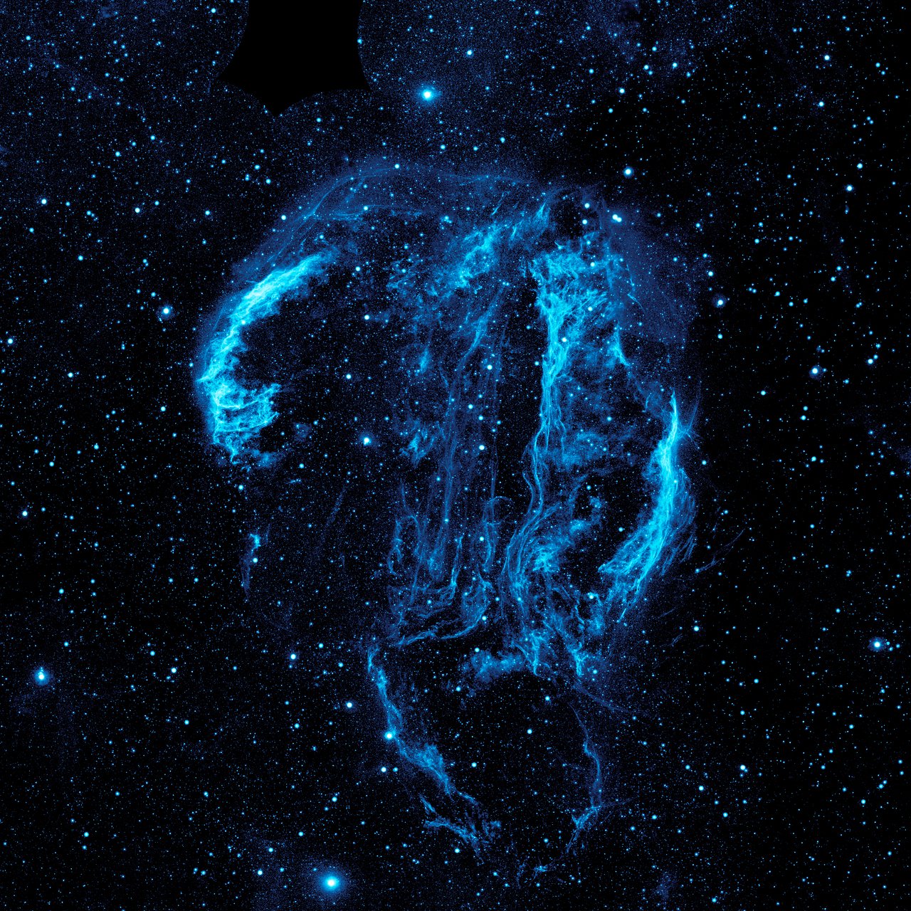 Cygnus Nebula