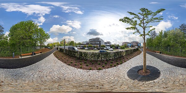 Panoramic Supernova view